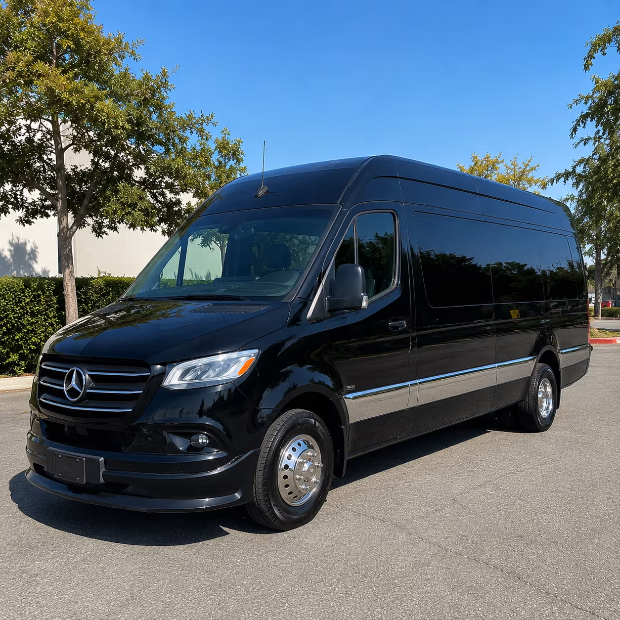 dallas sprinter van with driver